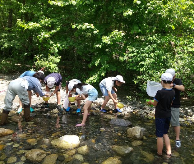 烏川渓谷緑地 長野県烏川渓谷緑地 公式サイトです