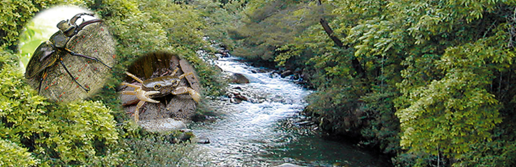 烏川渓谷緑地 長野県烏川渓谷緑地 公式サイトです